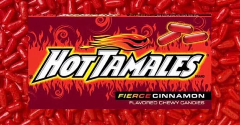 Hot Tamales (History, Flavors & Pictures)