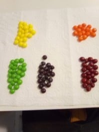 skittles sorted by color