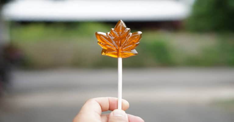 Canadian Candy – Best Treats to Follow Your Tastebuds