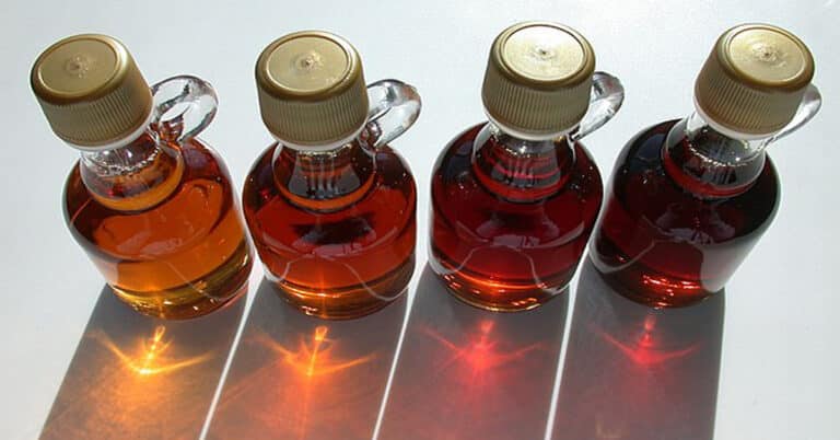 Top 5 Canadian Foods to Try in Ontario