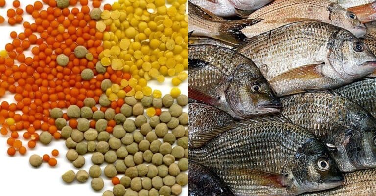 Top New Year Foods to Attract Luck