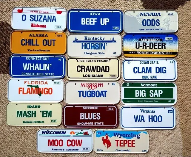 Honeycomb Miniature License Plates